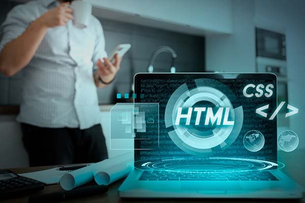 Web Design & Development